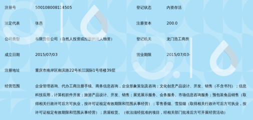 重庆星耀文科旅企业管理咨询 赋能商务信息咨询新路径